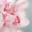 Ma.Fernanda González