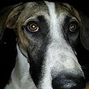 Jose Ignacio Patacorta del Tunche