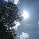 Morelia Marulanda Correa