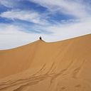 Sebastian Florez Rafaele