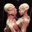 Manuel Garcia Santos