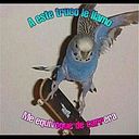 Andres Zaraza Robles