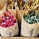 Annia pia Ranzetta nuñez