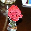 Rosa Matilla
