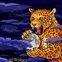 verde_vazquez_wifoes