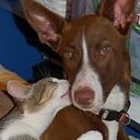 Susana Castillo Ramos