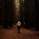 Domingo El del Twingo