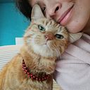 Yanel Ayelen Reynoso Jauregue