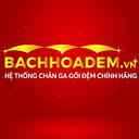 bachhoadem_vnn