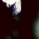 Alessandra Iglezias Do Bomfim