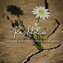 Fernanda Paisajista Greenterra