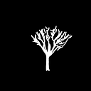 Patricia Miranda d' Avila