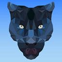 Panther Lite