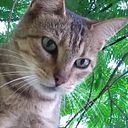 Pablo Cuéllar Zárate