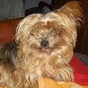 Adrián Enrique Giménez