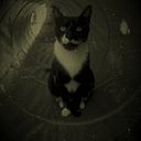 Isaac Calvo Jiménez