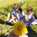 Paola Da Costa Padilha