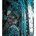 Kevin Alcántara Mllq