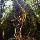 Valeri Sofia Caceres