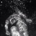 Carina Estévez Orth