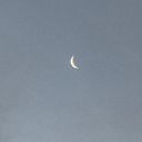 Catalina Riveros Sáez