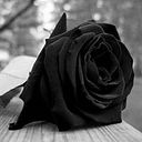 Fiorelia Milagros HG