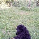 Mirta Forneris