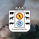 Proventas Cartago