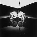 Luis Carlos Camargo Rodriguez