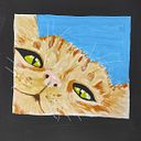 Ana María Lleite Pérez