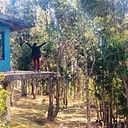 Claudia Luz Tamayo Olivas