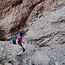 Maia Mindurry Cogley