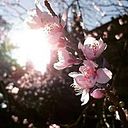 Vianey Pantoja Cerón