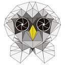 Donaldo Enriquez Reyes