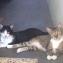 franciscovelazquez49