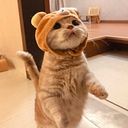 Ana Cristina Gutiérrez Velázquez