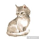 Yeny Rocio Redondo Robles