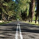 Madeleine Burgos Ortega