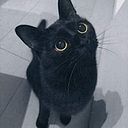 Carol Soza Rodríguez