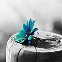 Alejandra Lopez Paez