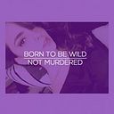 Renata Campos De la Torre