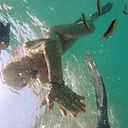 Melissa Ríos Luengas