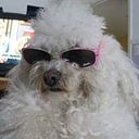 Mariana Lucas Coutinho