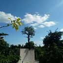 plateado_azul