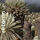 Carlos Avellaneda Valcárcel