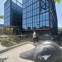 Joseph Steve Valladolid Antón