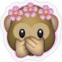 Las Monnonas Showroom