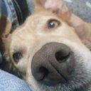 Renato Cristian Madrid Castro