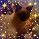 mireille67