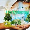 HortiPlantas Hidroponia